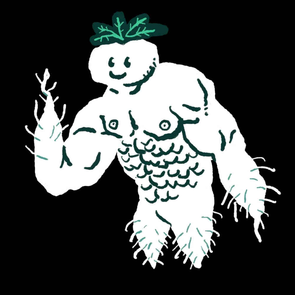 Mandragola
